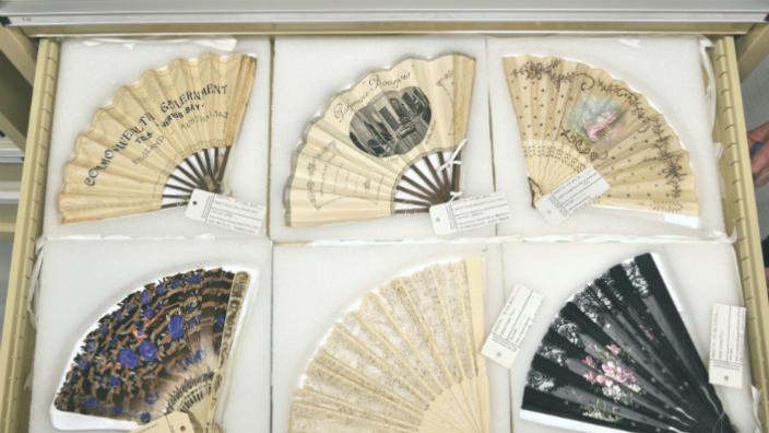 Western Australian Museum History Department objects. Photo by Jessica Needle.